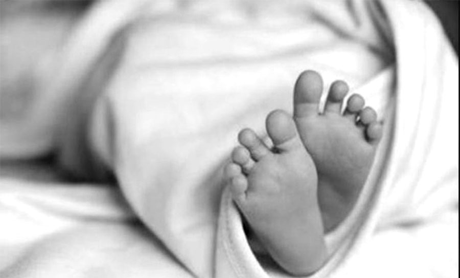 Snakebite kills girl in Dhanusha