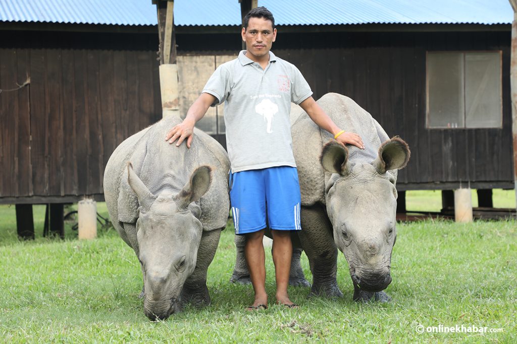 2 rhinos being relocated from Chitwan to Koshi Tappu