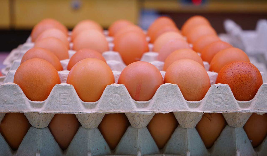 The price of eggs decreased