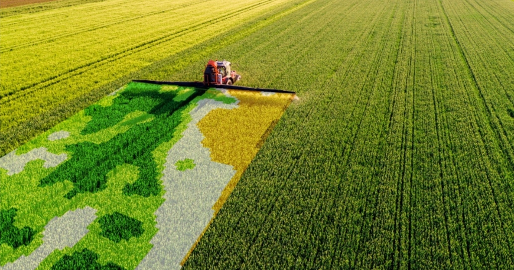 Digital agriculture: Using technology for sustainable farming 