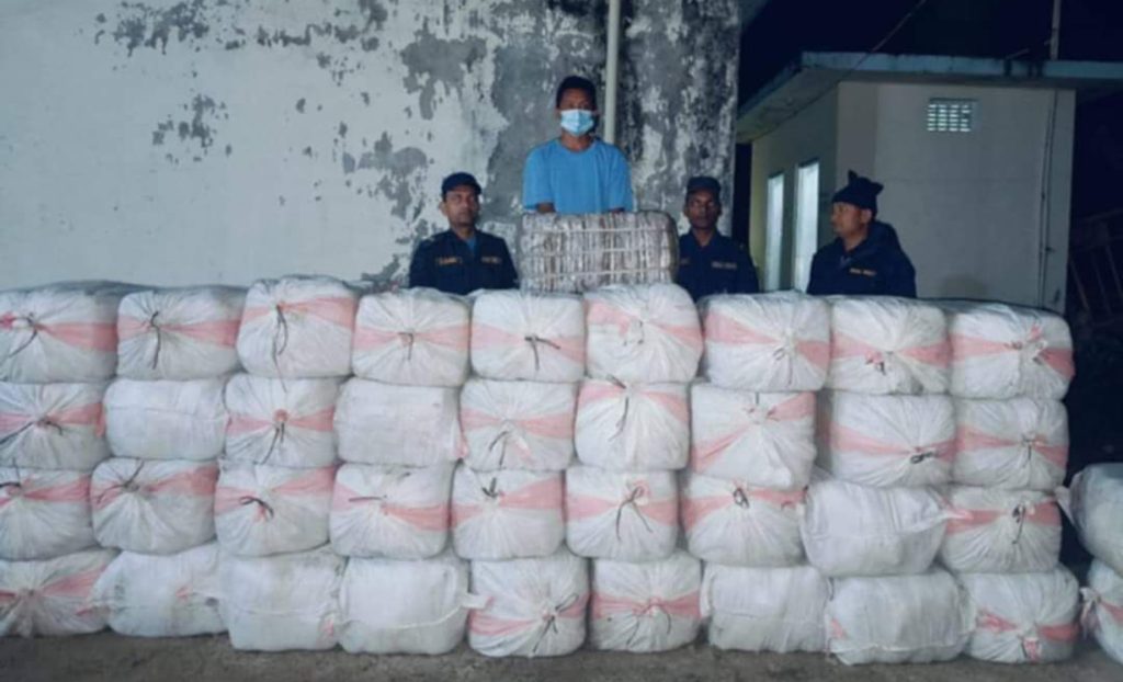 17 quintals marijuana confiscated in Saptari