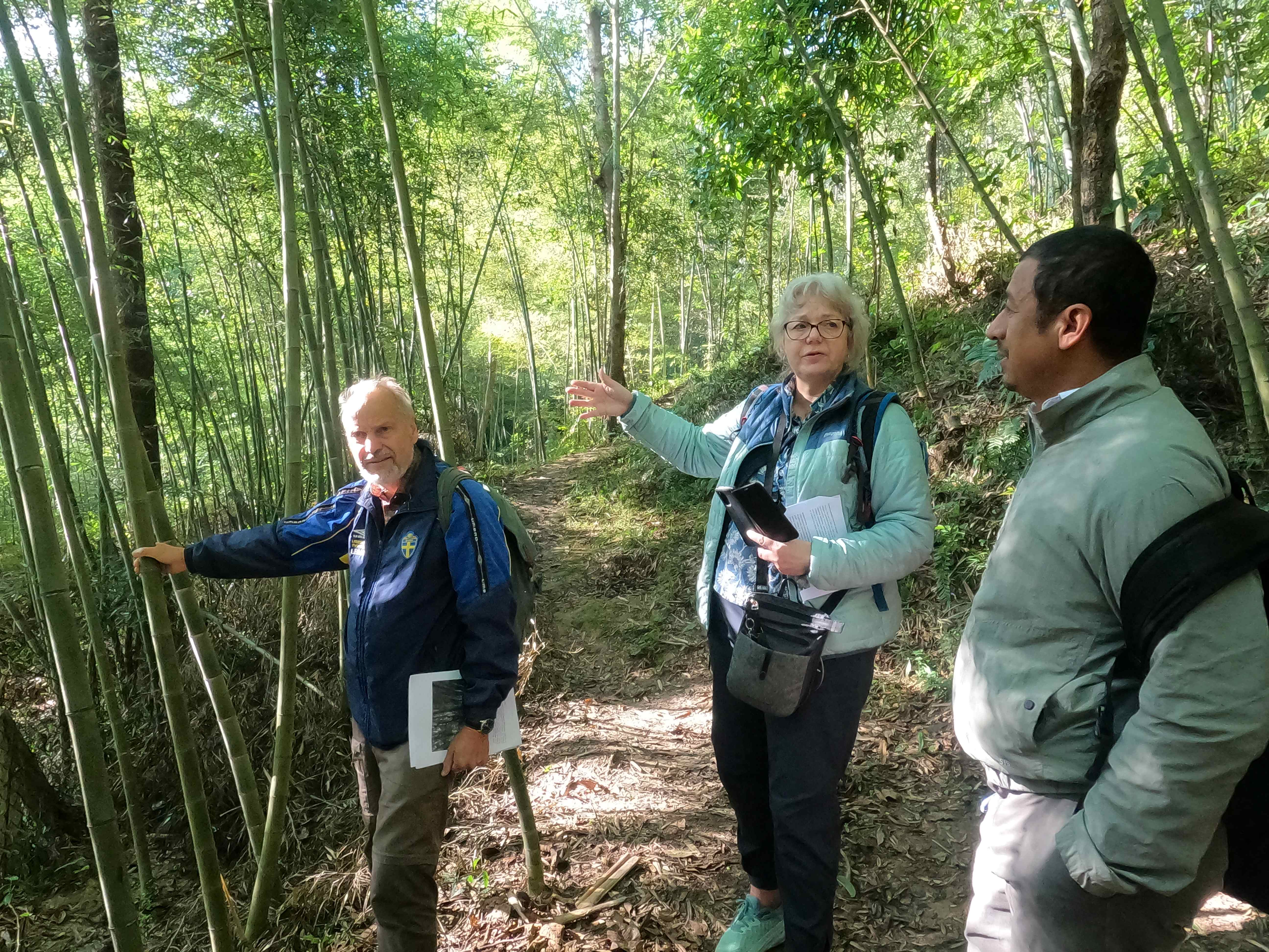 Workshop held exploring bamboo and wood for forest restoration in Nepal