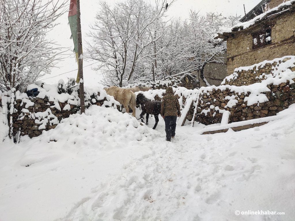 Snowfall in Humla