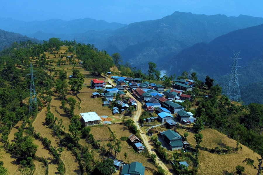 ‘Bandipur Visit Year 2025’ announced, aims to extend tourist stays to 3 days